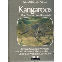 Kangaroos & Other Creatures From Down Under