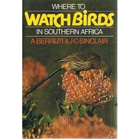Where To Watch Birds In Southern Africa