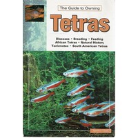 The Guide To Owning Tetras