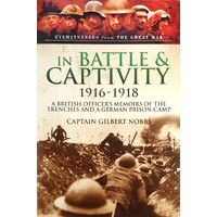 In Battle And Captivity 1916-1918