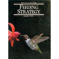 Feeding Strategy. Survival In The Wild