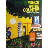 Punch In The Country