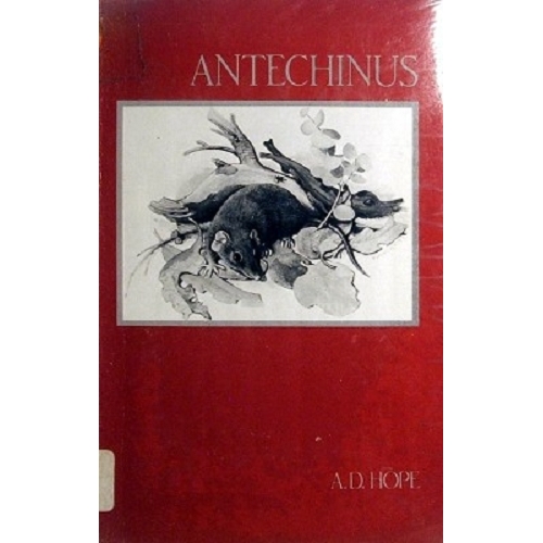 Antechinus