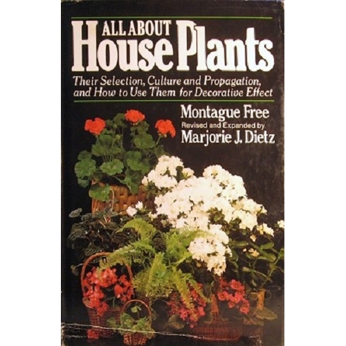 All About House Plants