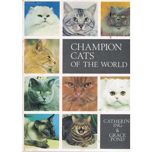 Champion Cats Of The World