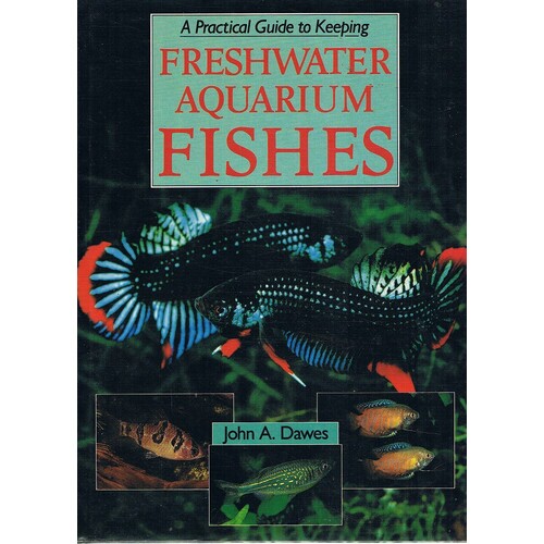 A Practical Guide To Keeping Freshwater Aquarium Fishes
