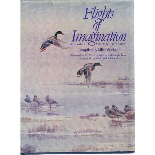 Flights Of Imagination