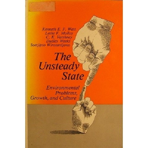 The Unsteady State. Environmental Problems, Growth, And Culture