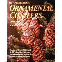 Ornamental Conifers