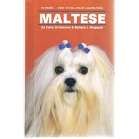 Maltese