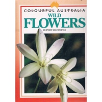 Colourful Australia Wild Flowers