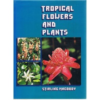 Tropical Flowers And Plants