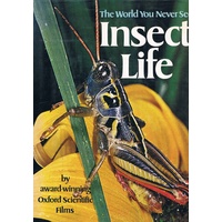 Insect Life. The World You Never See.