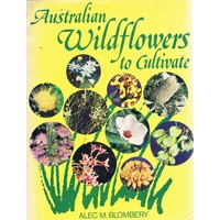 Australian Wildflowers To Cultivate