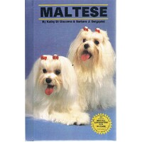 Maltese