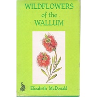 Wildflowers Of The Wallum