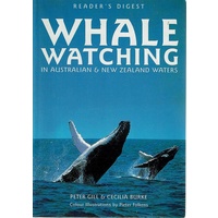 Whale Watching In Australia And New Zealand