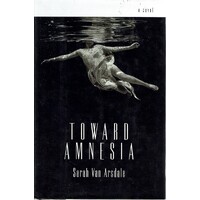 Toward Amnesia