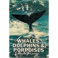 Whales, Dolphins And Porpoises