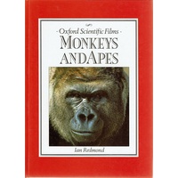 Monkeys And Apes