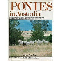 Ponies In Australia