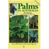 Palms In Australia