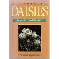 Australian Daisies For Gardens And Floral Art