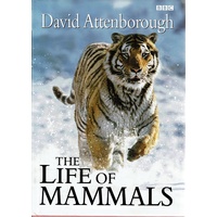 The Life Of Mammals