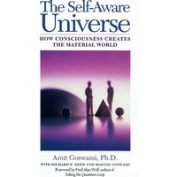 Self Aware Universe. How Consciousness Creates the Material World