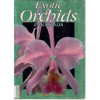 Exotic Orchids In Australia