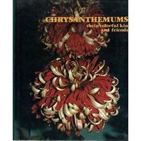 Chrysanthemums. Their Colourful Kin And Friends