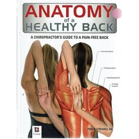 Anatomy Of A Healthy Back. A Chiropractor's Guide To A Pain Free Back