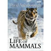 The Life Of Mammals