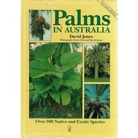Palms In Australia
