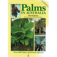 Palms In Australia