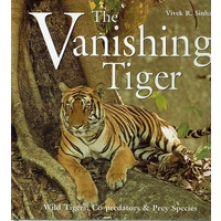 This Vanishing Tiger. Wild Tigers, Co Predators And Pre Species