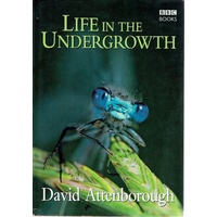 Life In The Undergrowth
