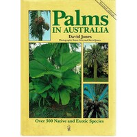 Palms In Australia