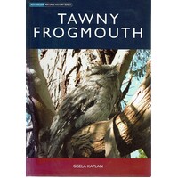 Tawny Frogmouth