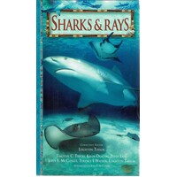 Sharks and Rays