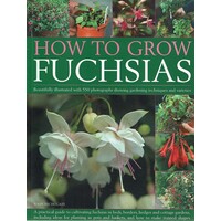 How To Grow Fuchsias