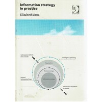 Information Strategy In Practice