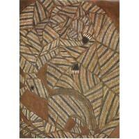 Kunwinjku Bim. Western Arnhem Land Paintings From The Collection Of The Aboriginal Arts Board