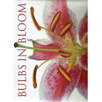 Bulbs In Bloom