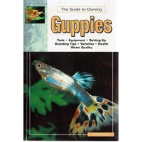 The Guide To Owning Guppies