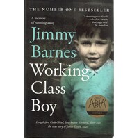 Working Class Boy