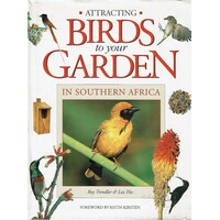 Attracting Birds To Your Garden In Southern Africa