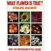 What Flower Is That