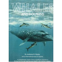 Whales And Dolphins