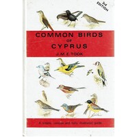 Common Birds Of Cyprus